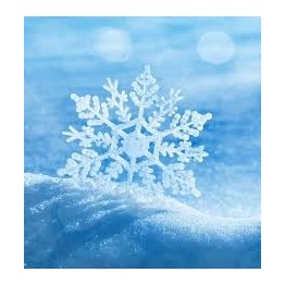 SPA BI ZONE VENDOM BARBADE 3 PLACES